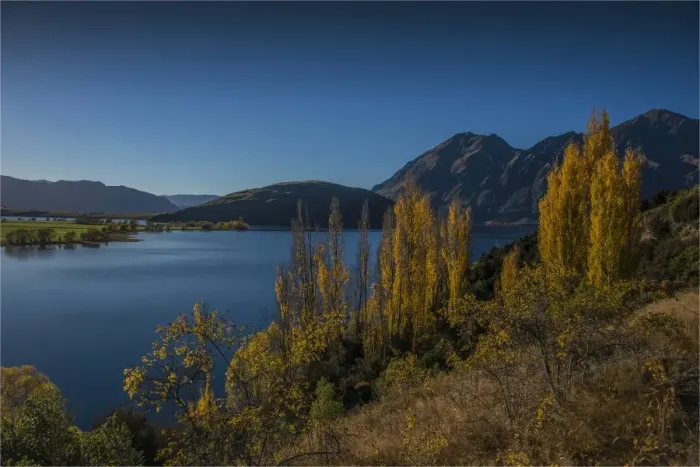 Framed Print : Autumn colours near Wanaka, South Island, New Zealand