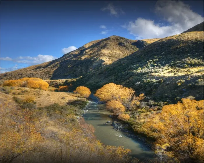 Framed Print : Autumn colours in the Tarris district, South Island, New Zealand