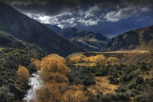 Autumn colours in the Tarris district, South Island, New Zealand