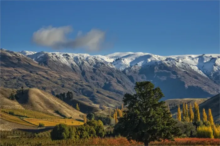 Framed Print : Autumn in Cromwell, south island New Zealand