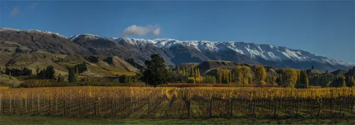 Framed Print : Autumn in Cromwell, south island New Zealand