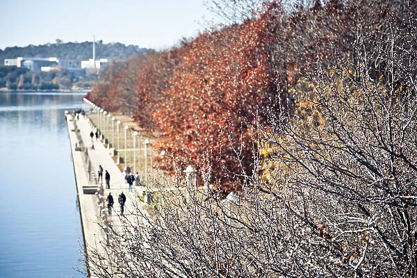Autumn day, Lake Burley Griffin, Canberra
