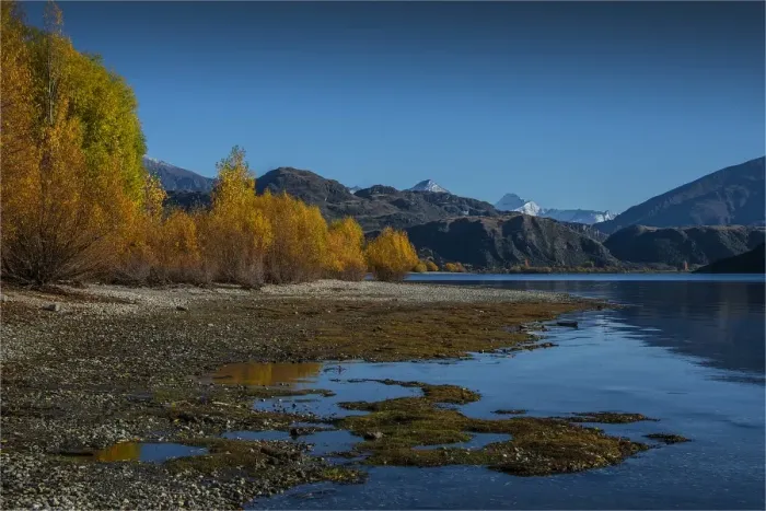 Framed Print : Autumn on Lake Wanaka Framed Print : Autumn on Lake Wanaka