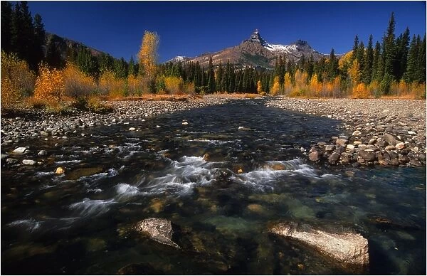 Autumn near Custer National Forest, Montana, United States of America