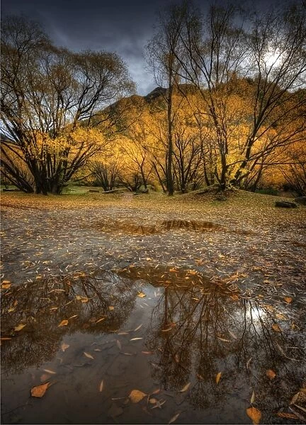 Autumn reflections in Arrowtown