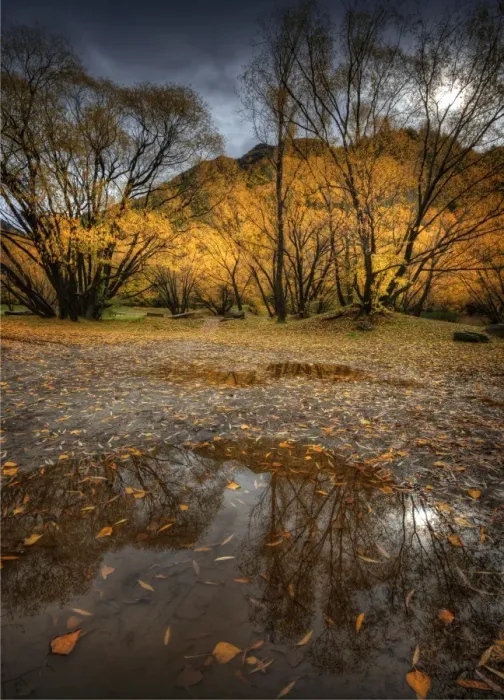 Framed Print : Autumn reflections in Arrowtown
