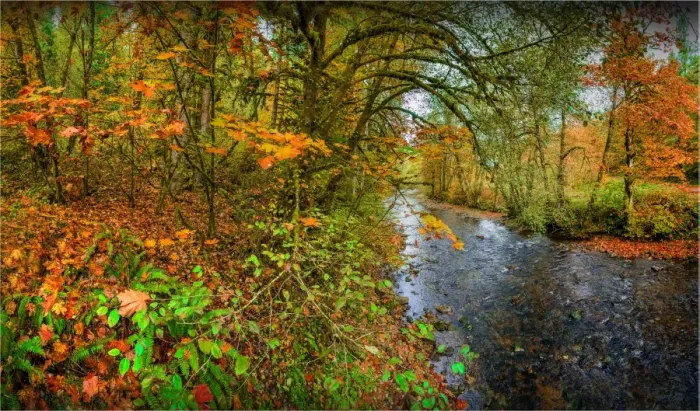 Framed Print : Autumn in South Prairie creek, Washington State, USA