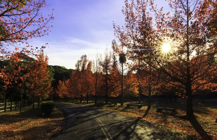 Framed Print : Autumn sunrise Framed Print : Autumn sunrise