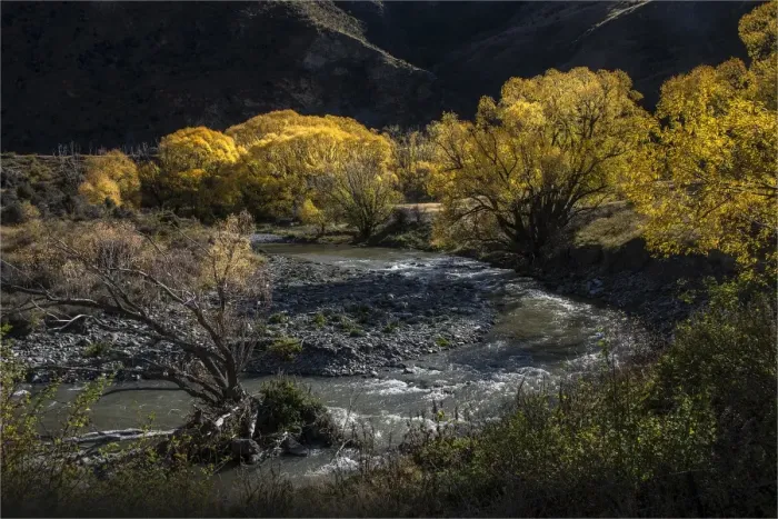 Framed Print : Autumn at Tarris