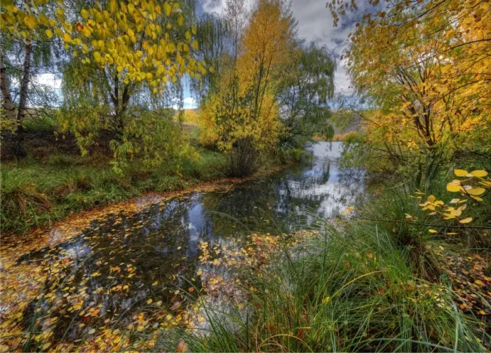 Framed Print : Autumn in Twizel