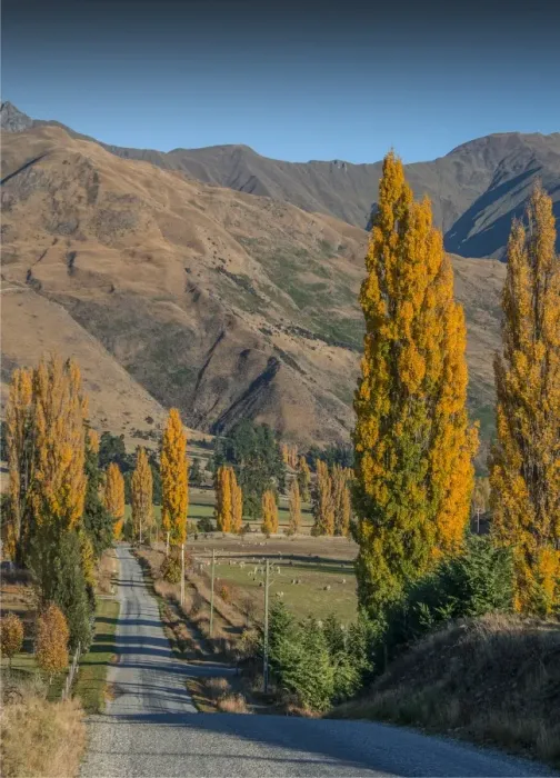 Framed Print : Autumn in Wanaka