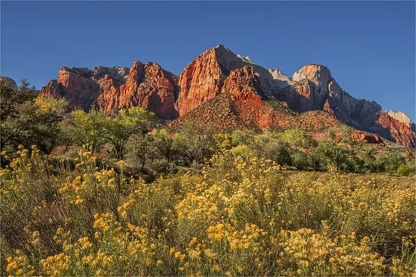 Autumn in Zion National Park, Utah, southwest United States of America