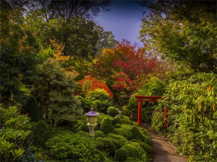 Framed Print : Autumnal colours of the season in Mount Macedon, Victoria, Australia Framed Print : Autumnal colours of the season in Mount Macedon, Victoria, Australia