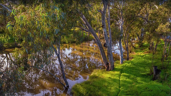 Avoca river reflections, western Victoria in the town of Charlton, Australia