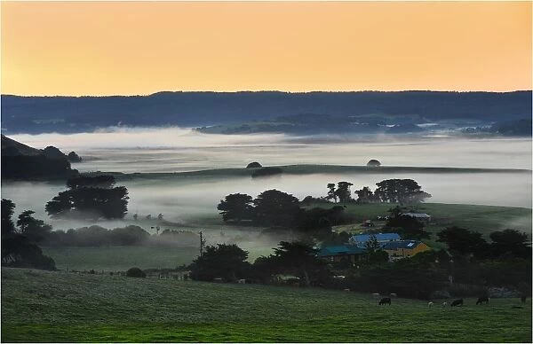 Ayre Valley winter mist rising at Dawn, Western coastline of Victoria