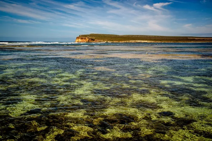 Framed Print : Baird Bay at Eyre Peninsula, South Australia Framed Print : Baird Bay at Eyre Peninsula, South Australia