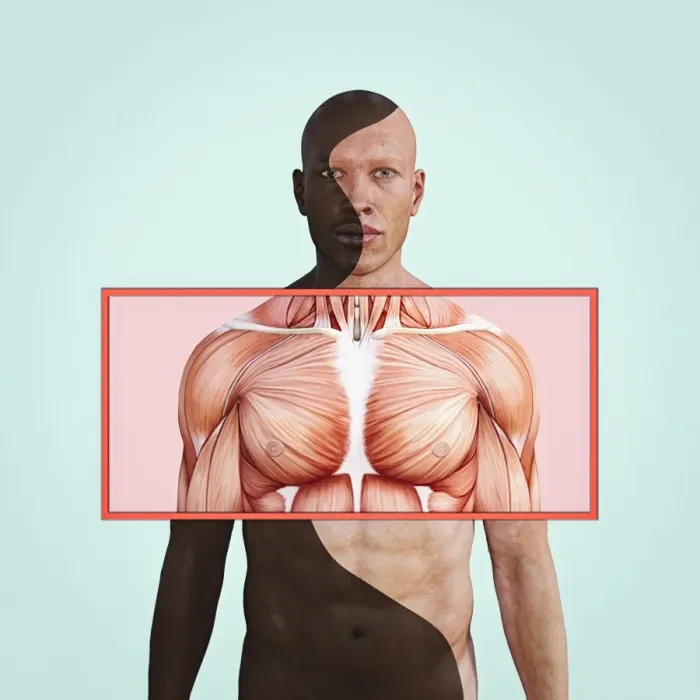 Framed Print : bald, black, body, chest, close up, color, color image, concept, copy space, cut out Framed Print : bald, black, body, chest, close up, color, color image, concept, copy space, cut out