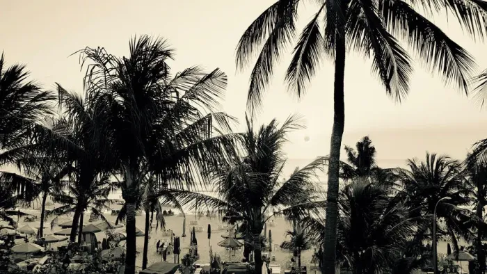 Framed Print : Bali Scene #1 Framed Print : Bali Scene #1