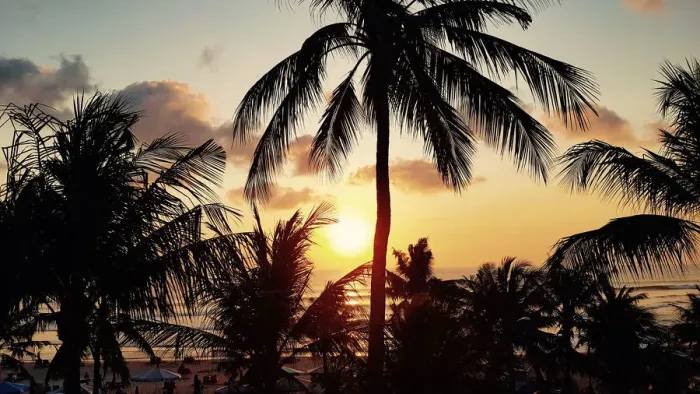 Framed Print : Bali Sunset with Palm Silhouettes Framed Print : Bali Sunset with Palm Silhouettes