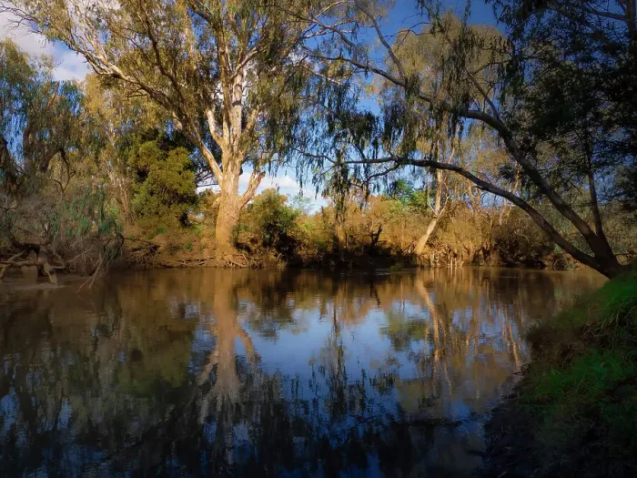Framed Print : Along the banks of the Ovens river at Wangaratta in late Autumn, North Central Victoria, Australia