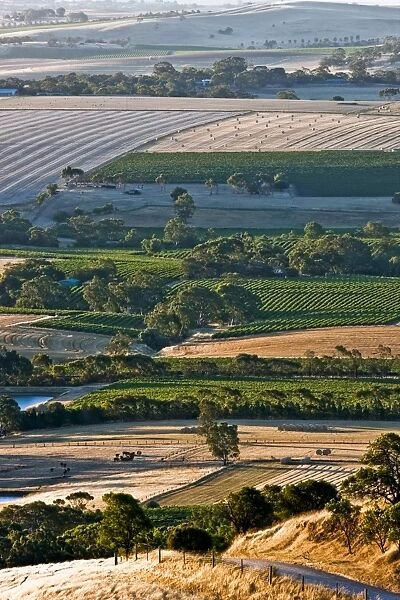 Barossa Valley vineyards