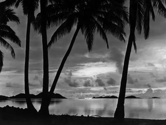 Framed Print : Barrier Reef