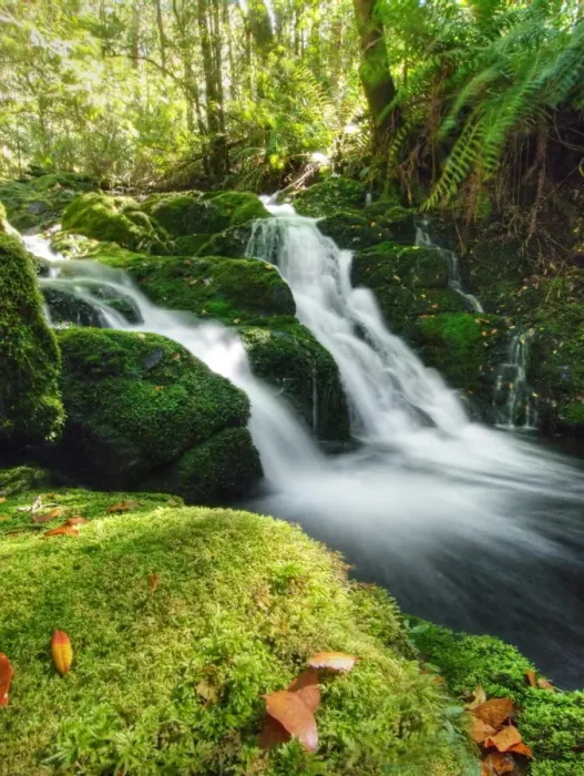 Framed Print : Barrington tops Framed Print : Barrington tops