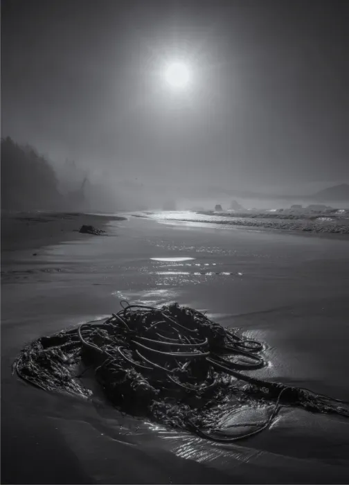 Framed Print : Battle rock beach, The Oregon coastline, USA