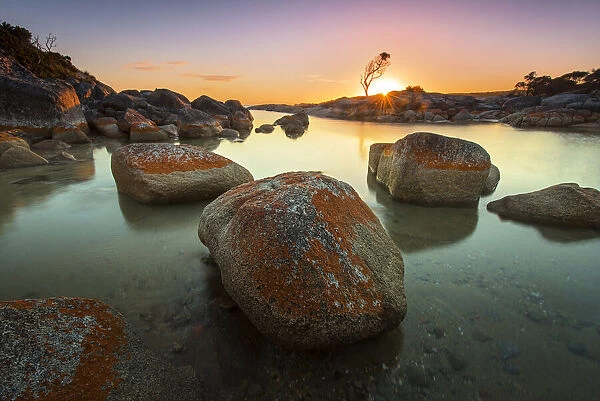 Bay of Fires beach, Tasmania, Australia