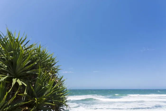Framed Print : Beach View