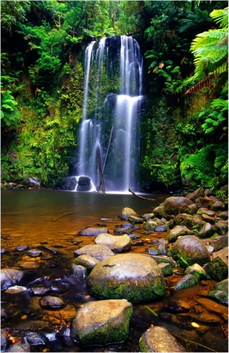Framed Print : Beauchamp Falls in the Otway Ranges Victoria Framed Print : Beauchamp Falls in the Otway Ranges Victoria
