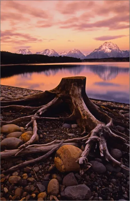 Framed Print : A beautiful coloured dawn casts its glow over Jackson lake in the Grand Tetons, Wyoming Framed Print : A beautiful coloured dawn casts its glow over Jackson lake in the Grand Tetons, Wyoming