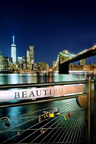 Beautiful Manhattan skyline at night