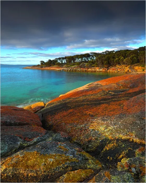 Framed Print : The beautiful and very scenic area known as Trousers point, near Lacotta, Flinders Island, part of the Furneaux group, eastern Bass Strait, Tasmania Framed Print : The beautiful and very scenic area known as Trousers point, near Lacotta, Flinders Island, part of the Furneaux group, eastern Bass Strait, Tasmania