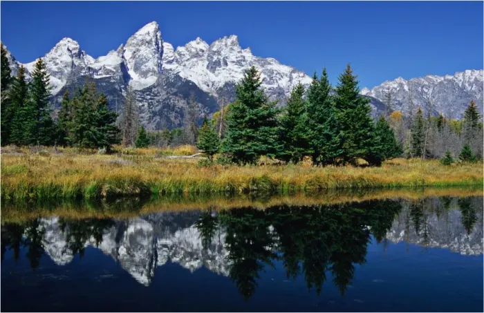 Framed Print : Beaver ponds Grand Teton National Park, Wyoming, United States