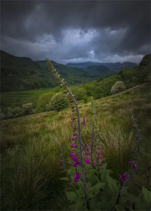 Framed Print : Beddgelert Valley, northern Wales, United kingdom