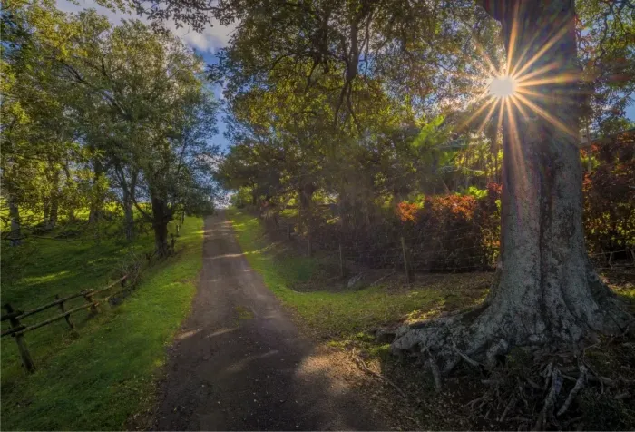 Framed Print : Beefsteak Road