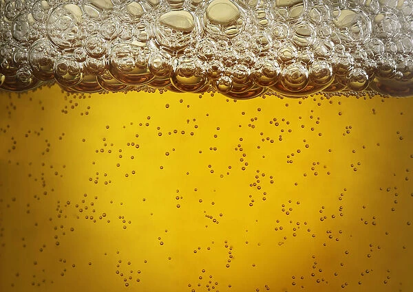 Beer Bubbles