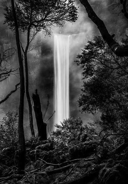 Belmore falls in Sydney