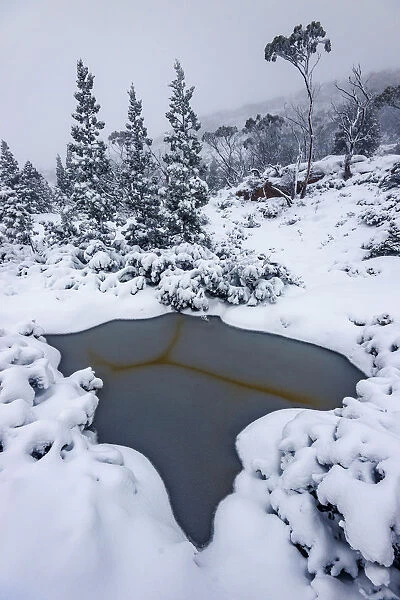 Big Snowfall at Labyrinth, Lake St Clair, Tasmania