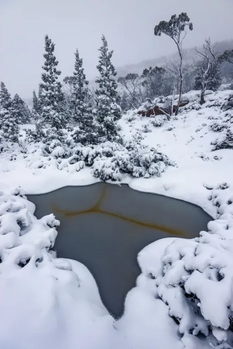 Framed Print : Big Snowfall at Labyrinth, Lake St Clair, Tasmania