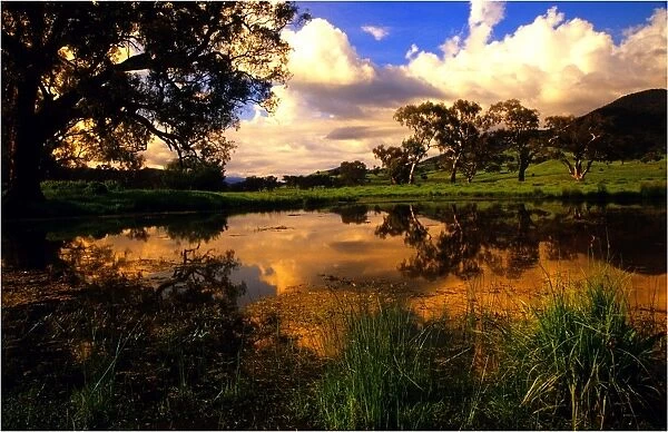 A billabong near the Murray river at Corryong, Northern Victoria