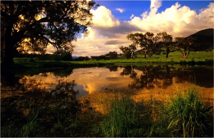 Framed Print : A billabong near the Murray river at Corryong, Northern Victoria Framed Print : A billabong near the Murray river at Corryong, Northern Victoria