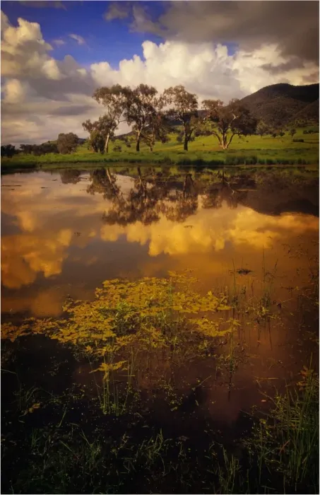 Framed Print : A billabong in springtime near Corryong, North East Victoria, Australia Framed Print : A billabong in springtime near Corryong, North East Victoria, Australia