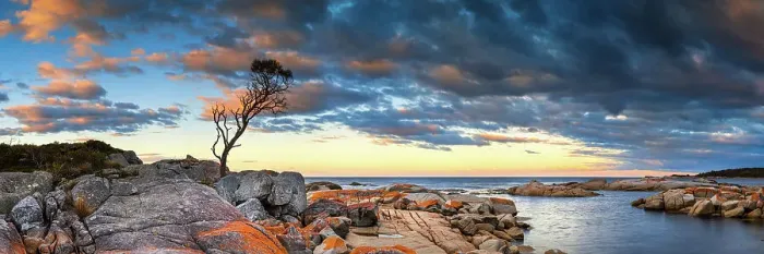 Framed Print : Binalong Bay Framed Print : Binalong Bay