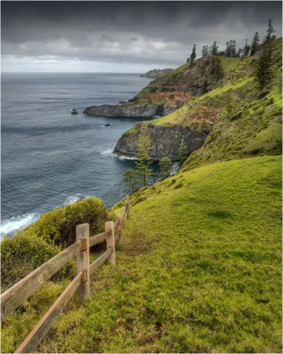 Framed Print : Bird rock Point