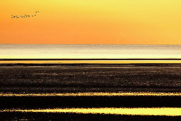 Birds fly above the sea during sunrise