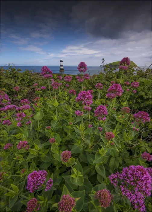 Framed Print : Black Point Lighthouse, Anglesea, Northern Wales, United Kingdom