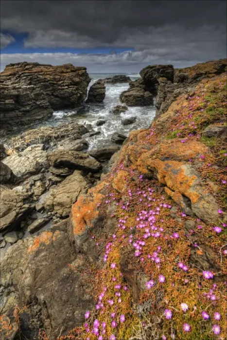 Framed Print : Black Point Spring