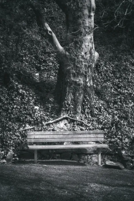 Framed Print : Black and white bench